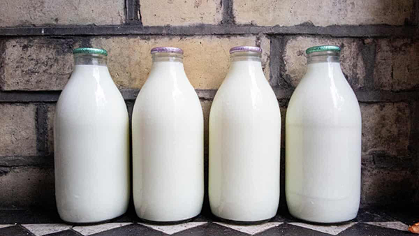 Không nên cho trẻ dưới 24 tháng tuổi uống sữa tươi thanh trùng