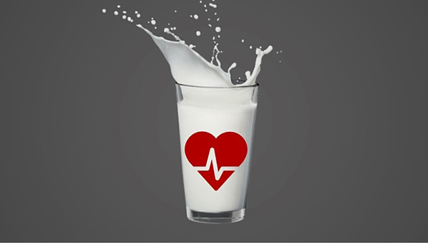 Sữa tươi thanh trùng giúp giảm được 15-20% nguy cơ mắc các bệnh về tim mạch
